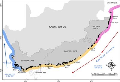 A Decade of South Africa’s Acoustic Tracking Array Platform: An Example of a Successful Ocean Stewardship Programme